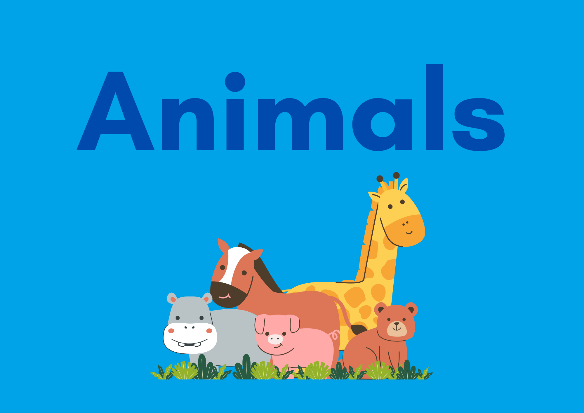 Animals