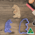 Bunny Painting Egg Cookie Cutter And Embosser Stamp