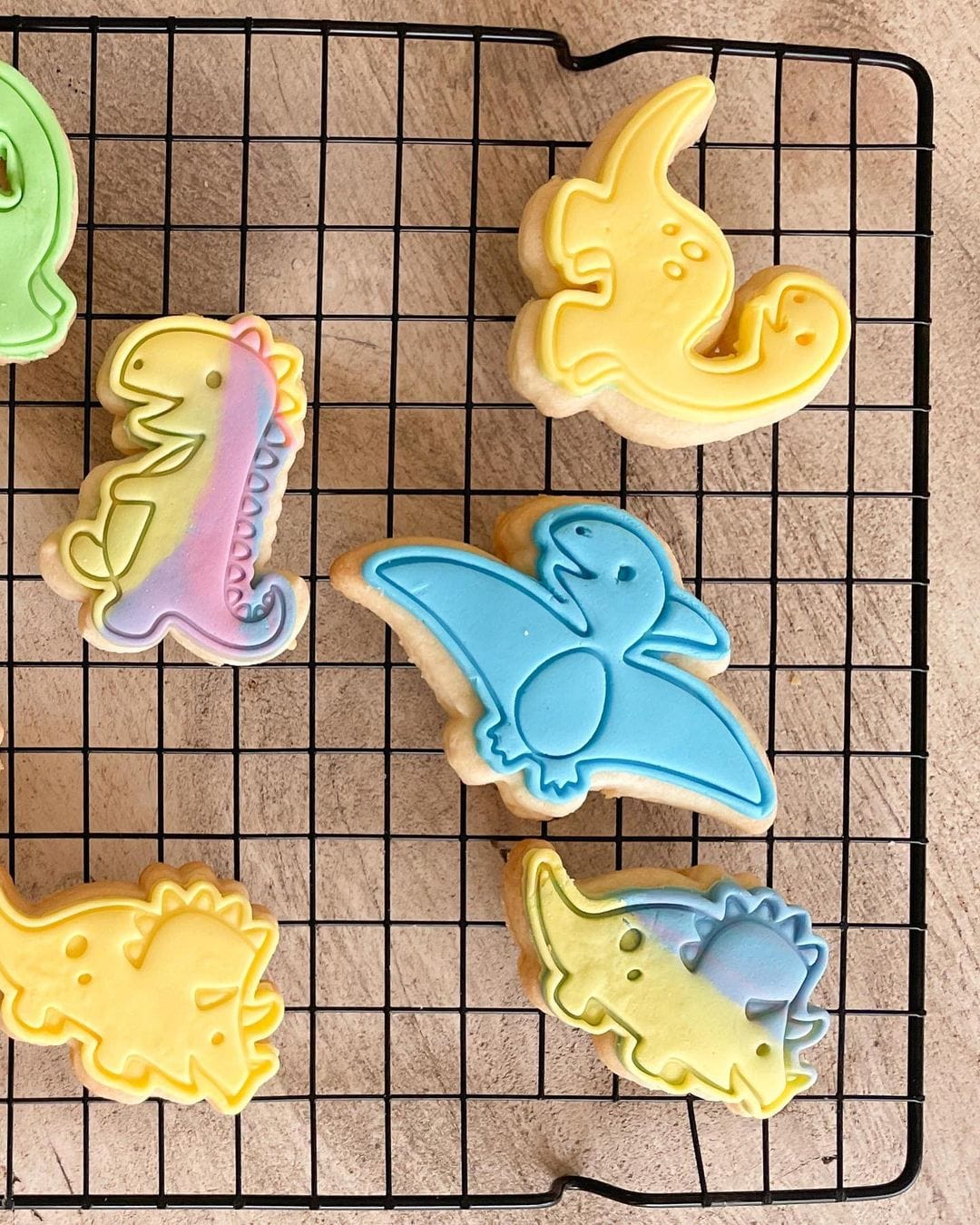 Dinosaur- Triceratops Cookie Cutter and Embosser Stamp